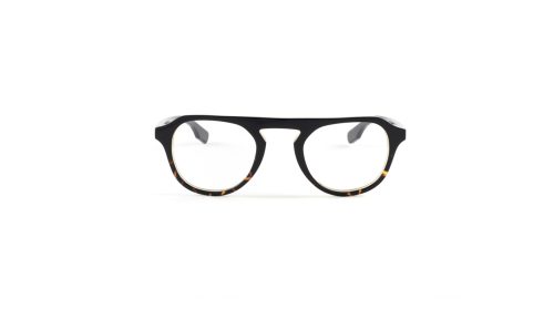 Gafas_Caroig_Desert_Tortoise