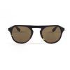 Gafas_Caroig_Desert_Tortoise_Penny_1