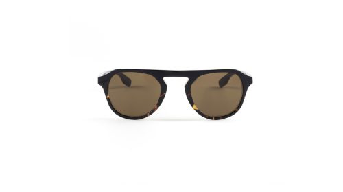 Gafas_Caroig_Desert_Tortoise_Penny_1