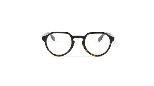 Gafas_Corda_desert_Tortoise