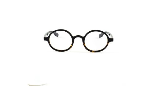 Mouet Bao Carena Desert Tortoise