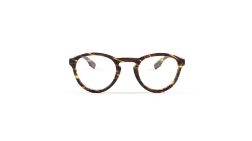 Mouet Gregal Striped Tortoise