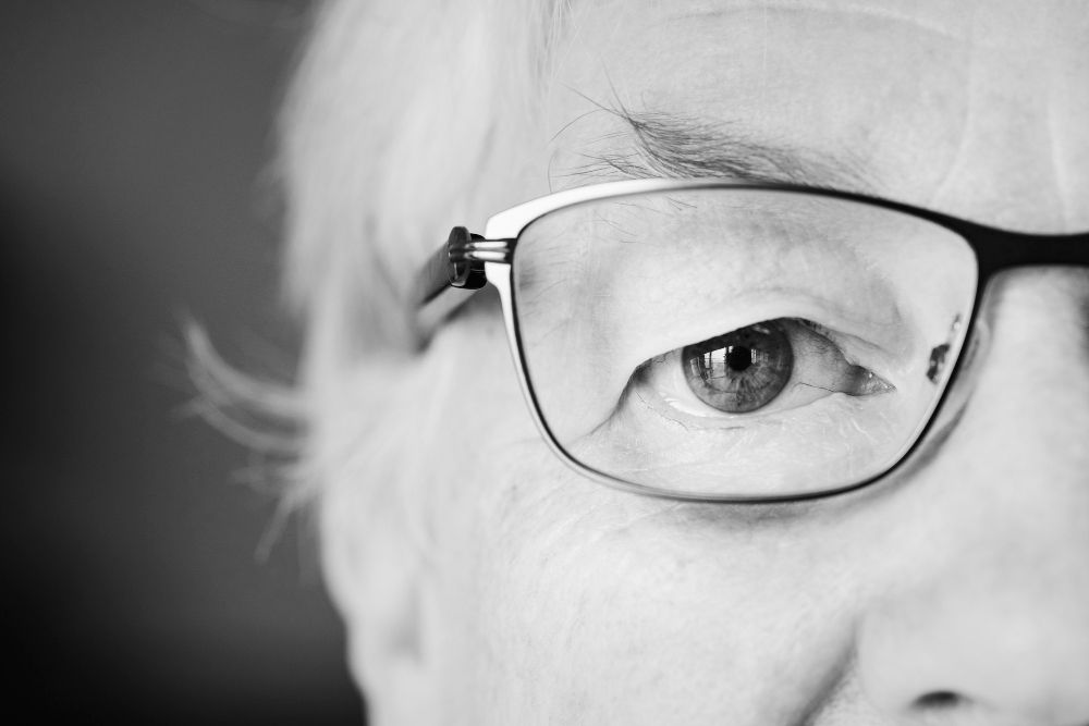 retina adulta